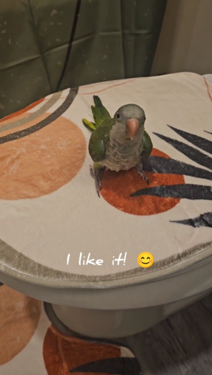 Bathroom Unboxing With My Parrot Watching Everything 🦜